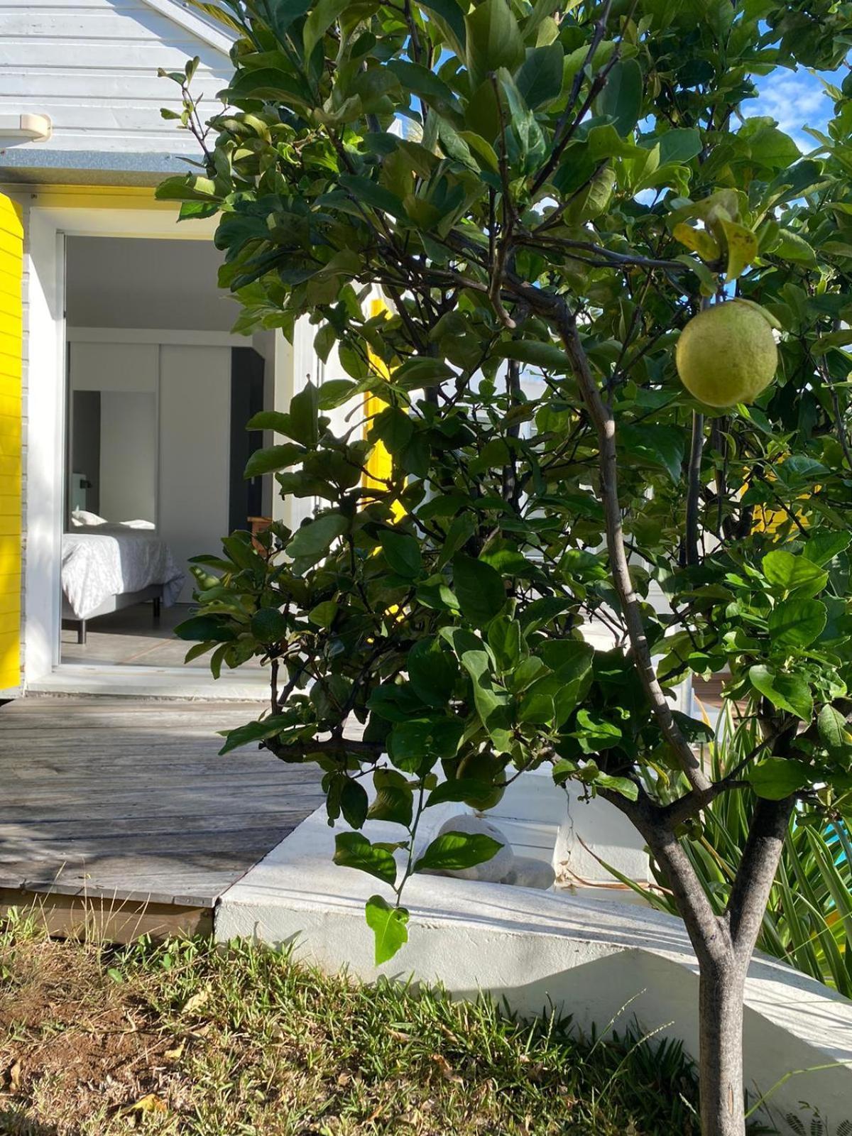 Villa Ylang 圣吉尔莱班 外观 照片